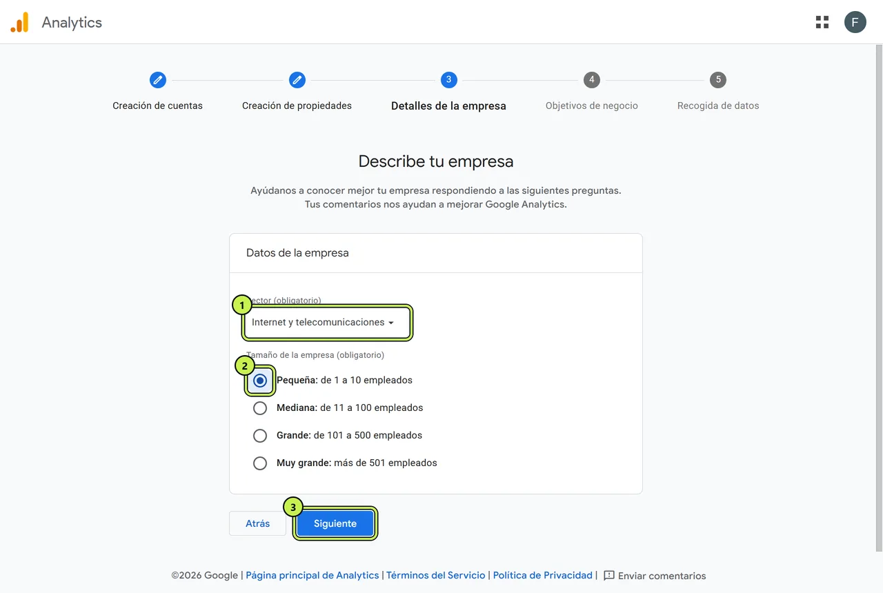 Detalles de la empresa en Google Analytics: sector y tamaño